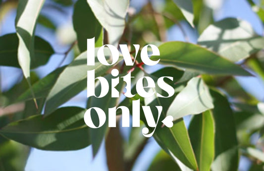 The Best 100% Natural Insect Repellent: