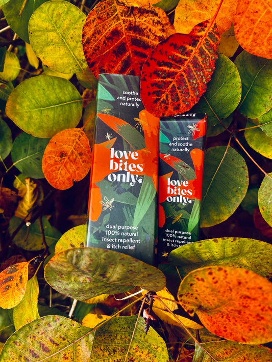 Where Do Mosquitoes Go in Autumn? The Hidden Season of the Bite