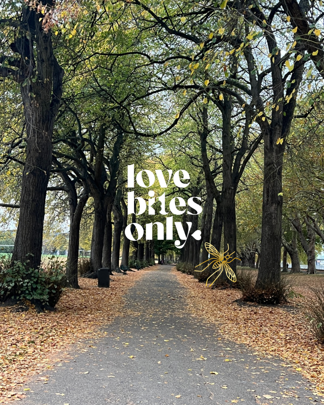 From Sun-Kissed to Firelit: Transitioning Your Summer Skin Rituals for Autumn