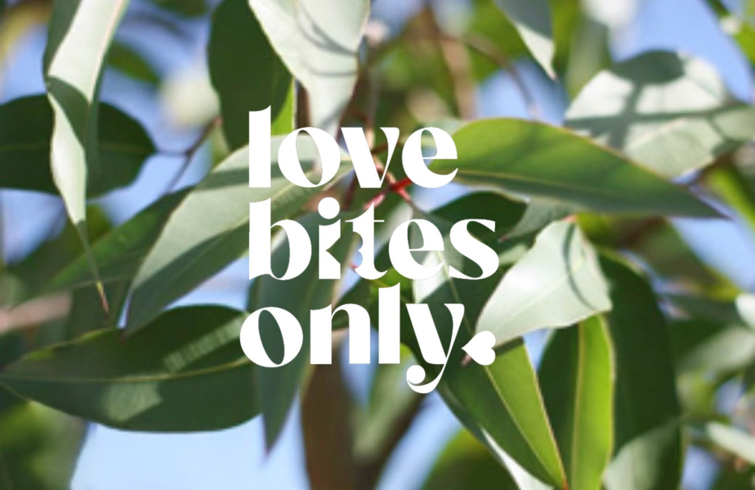 The Best 100% Natural Insect Repellent: